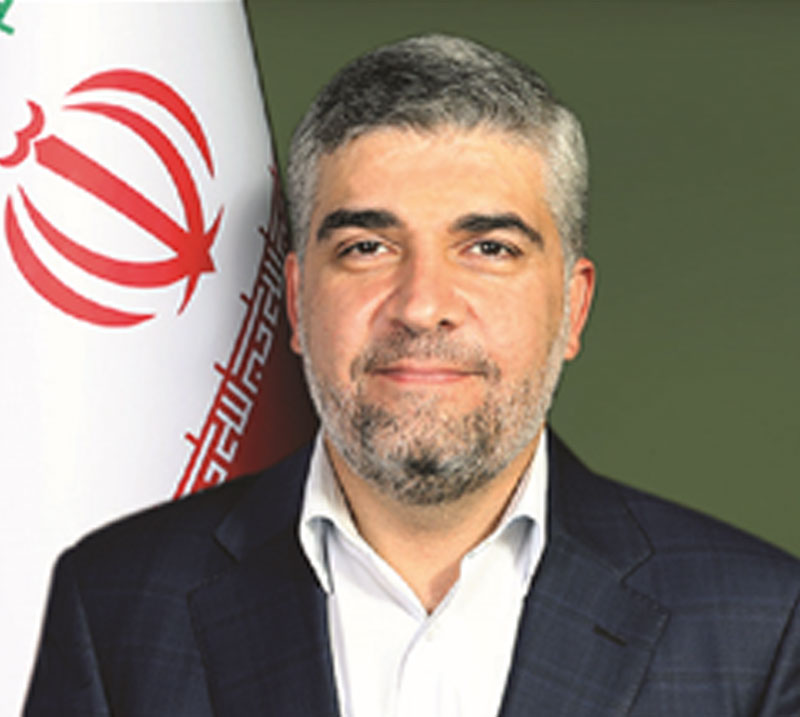 Digital transformation in Iran: a review of the experiences of the  Information Technology Organization